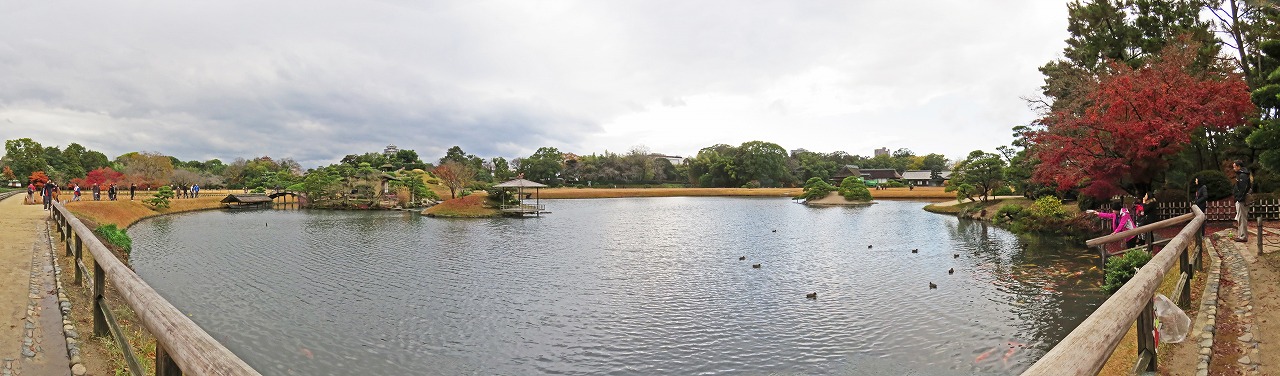 s-20141201 後楽園今日の沢の池冬の様子のワイド風景 (1)