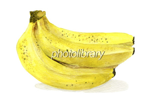 食べ頃バナナの水彩画