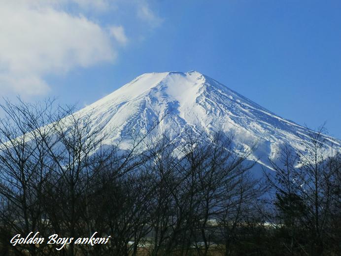 382  富士山