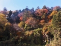 青葉城の崖
