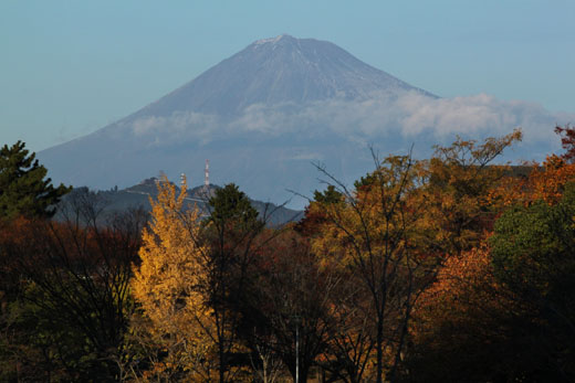 101121 駿府公園からの富士山