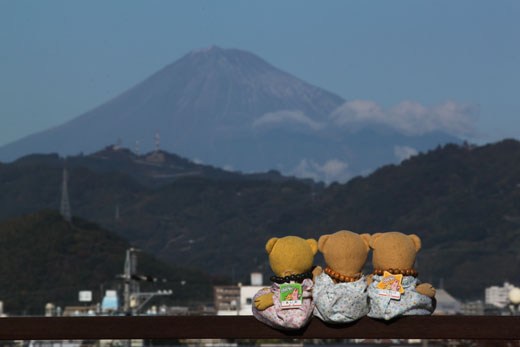 101121 富士を眺める３くま