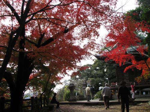須賀神社３