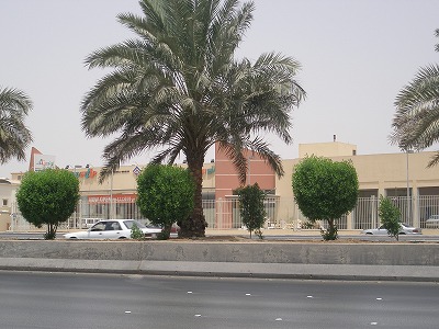Saudi 1