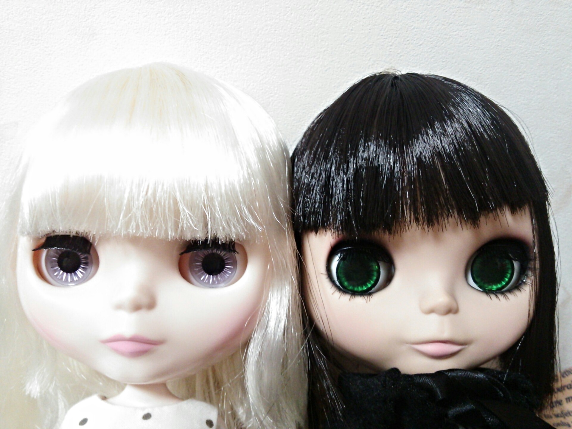 Hayu S Blythe 黒前髪の３姉妹 黒髪姉妹と真っ白ちゃん