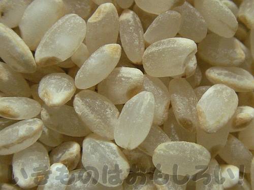 よく見ると糠がいっぱいついているプランター稲のお米