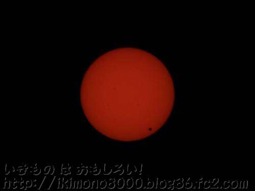 太陽の前を通る金星（右下）と太陽黒点？（左側）