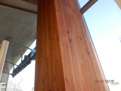 サウスウッド内部木質柱