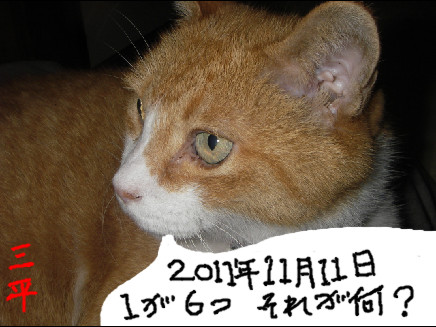 2011.11.11 三平　何？