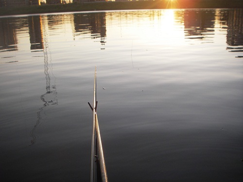 日没前の中川の釣り