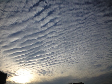 2012.10.13 　ウロコ雲