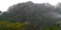 雨の日の”ひびき渓谷の紅葉”
