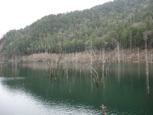 自然湖２