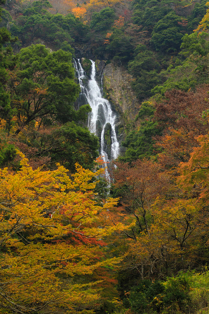 岡山県真庭市勝山｢神庭の滝｣