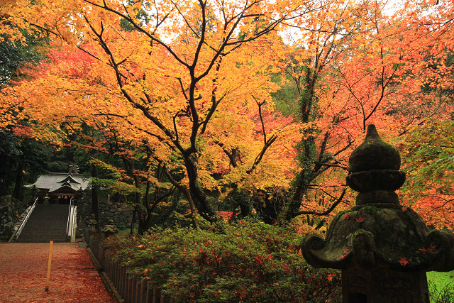 米子市　宗像神社　紅葉　写真