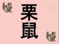 漢字を見る　小さい動物