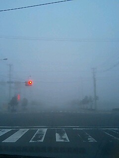 朝霧