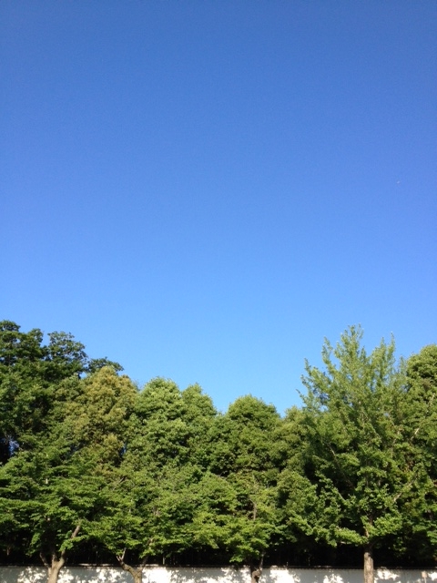 ６月の朝の青空