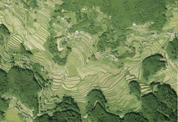 衛星写真で観た大垪和西の棚田