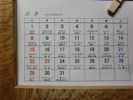 花言葉カレンダー