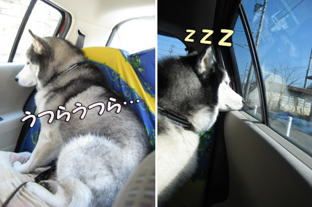 車中でうたた寝