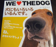 WE LOVE THE DOG
