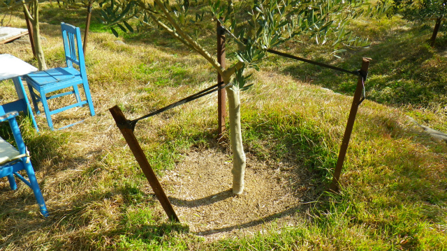 ｌ字鋼の支柱を簡単に抜く方法 オリーブ栽培のこと 小豆島でオリーブを育てよう