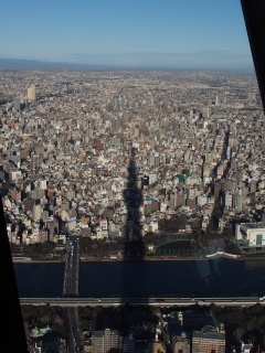 東京スカイツリーの影